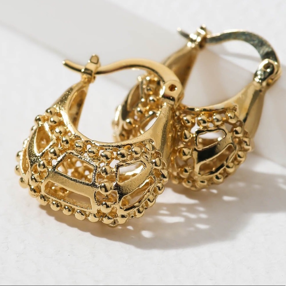 New Vanessa Mooney THE CHARITA HOOP EARRINGS